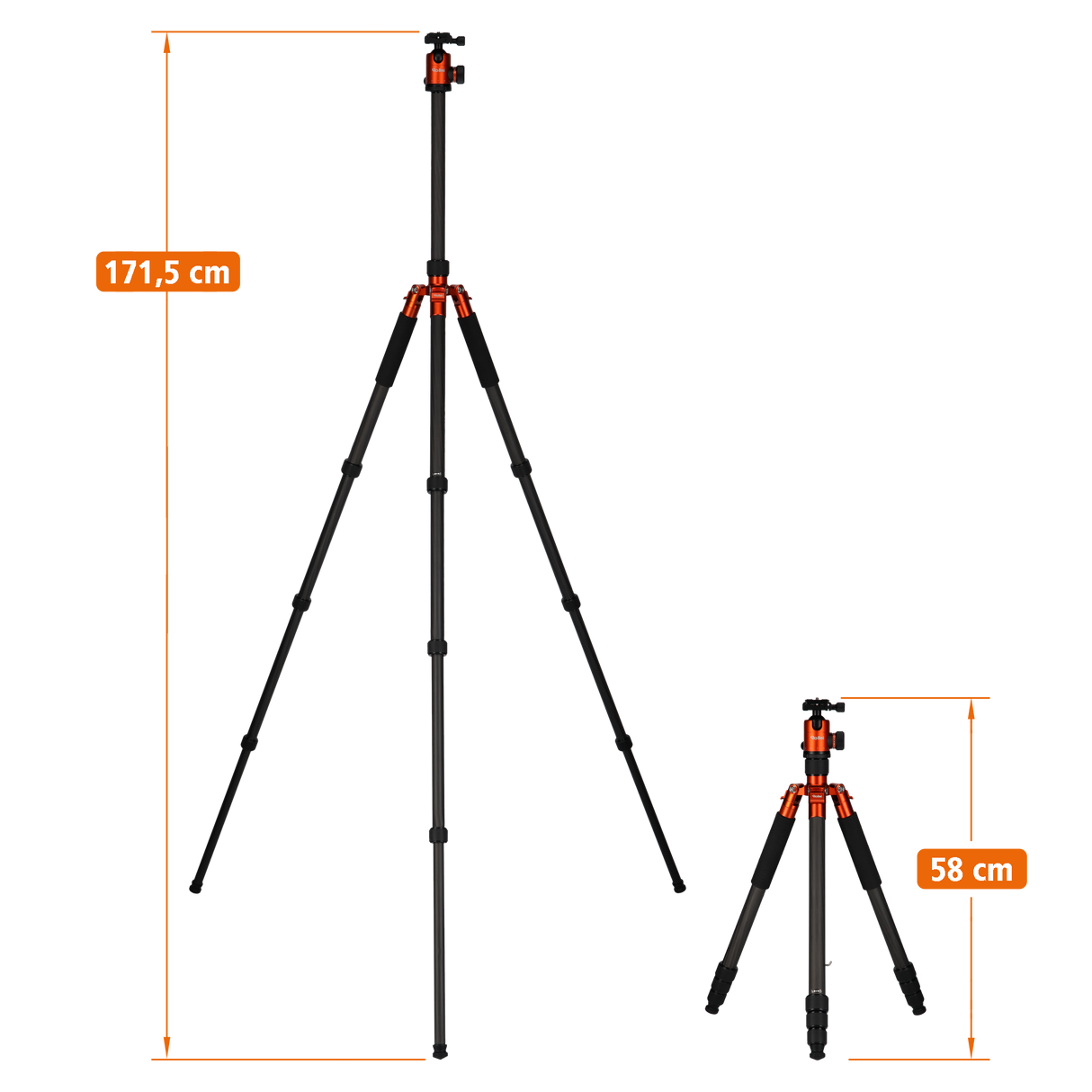 Tripod | Carbon | C6i